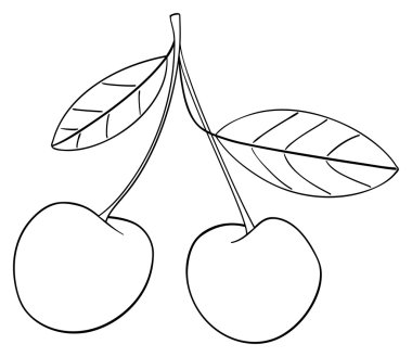 Keyifli bahçe - iki kiraz bir kök ile birlikte bağlı