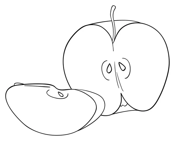 Härlig trädgård - hälften av äpple och en skiva — Stock vektor