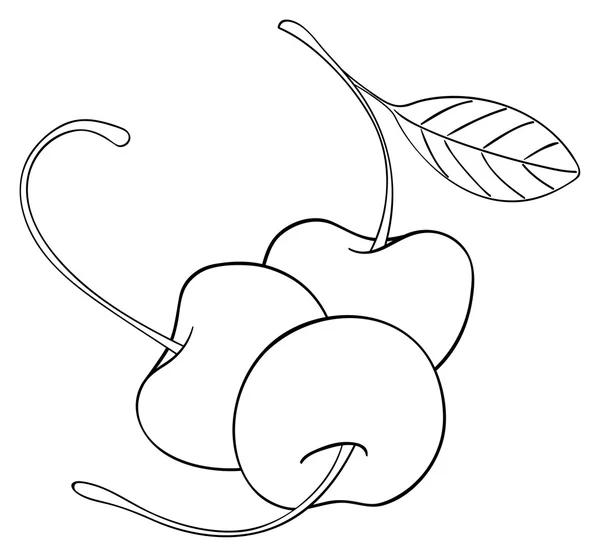 Härlig trädgård - tre körsbär med ett blad — Stock vektor