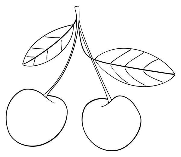 庭園 - 茎と一緒に接続されている 2 つのサクランボ — ストックベクタ