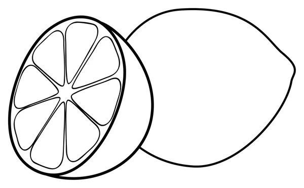 Delicioso jardín - Un limón y medio de limón — Vector de stock