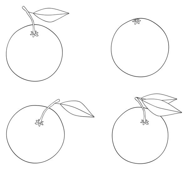 令人愉快的花园-集四个橘子，与叶 — 图库矢量图片