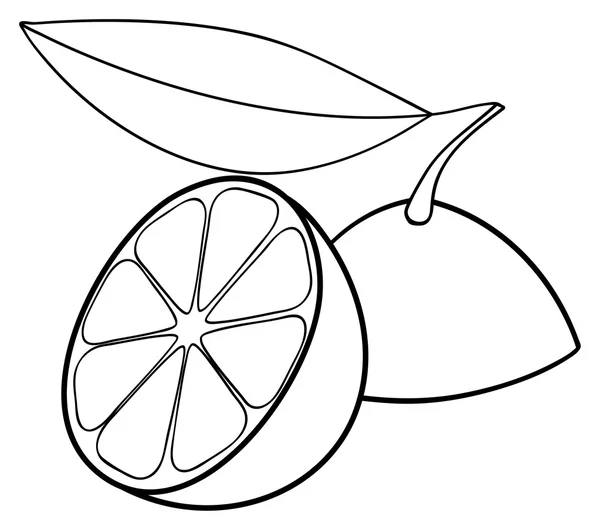Ravissant jardin - Deux moitiés de citron et une feuille — Image vectorielle