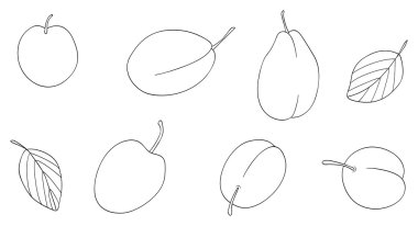 Keyifli Bahçe - Erik ayarla