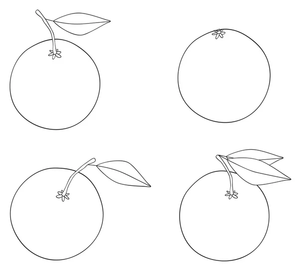 Keyifli Bahçe - dört portakal ayarla — Stok fotoğraf