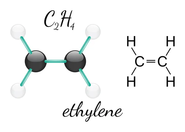 C2h4 乙烯分子 — 图库矢量图片