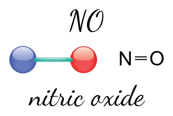 NO nitric oxide molecule — Stock Vector