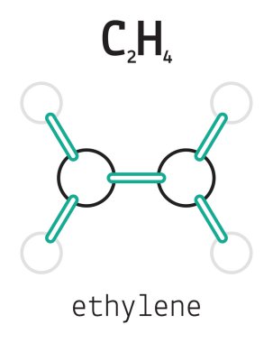 C2h4 etilen molekül