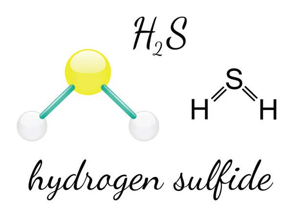 Molekul hidrogen sulfida H2S Grafik Vektor