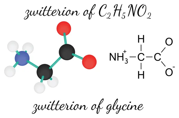 C2H5NO2 zwitterion de la molécula de aminoácido de glicina — Vector de stock