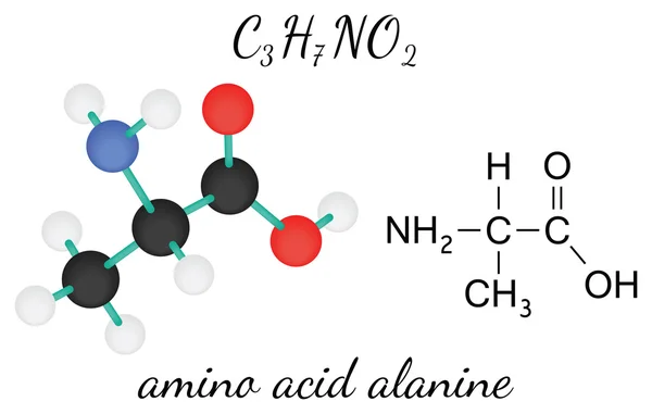 C3H7NO2 molécula de aminoácidos de alanina — Vector de stock