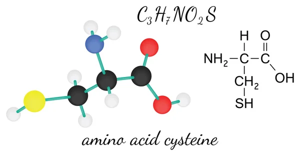 C3h7no2s Cystein-Aminosäure-Molekül — Stockvektor