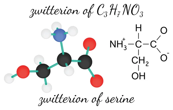 C3H7NO3 zwitterion de la molécula de aminoácido serina — Vector de stock