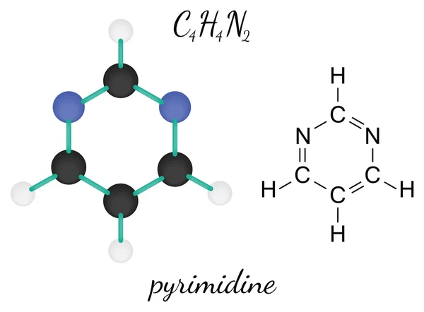 C4h4n2 pyrimidin molekyl — Stock vektor