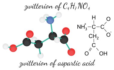 Aspartik asit amino asit molekülünün C4h7no4 zwitterion