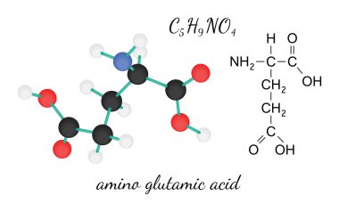 C5h9no4 glutamik amino asit molekül
