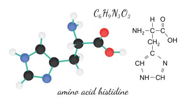 C6h9n3o2 histidin amino asit molekül
