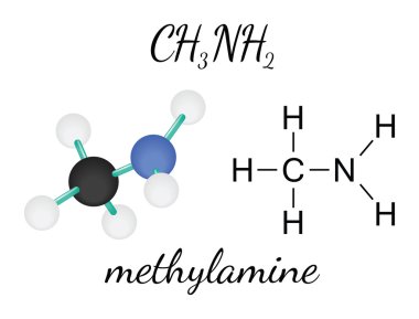 Ch3nh2 methylamine molekül