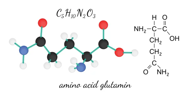 C5H10N2O3 molécula de aminoácido glutamínico —  Vetores de Stock