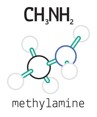 Ch3nh2 methylamine molekül