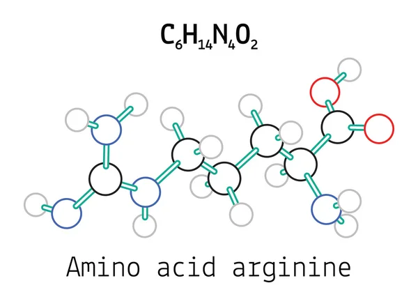 C6H14N4O2 amino acid Arginine molecule — Stock Vector