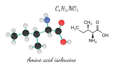 C6h13no2 amino asit Isoleucine molekül