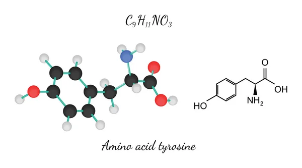 Молекула тирозина C9H11NO3 — стоковый вектор