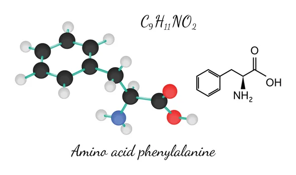 C9H11NO2 aminoácido Molécula de fenilalanina — Vector de stock