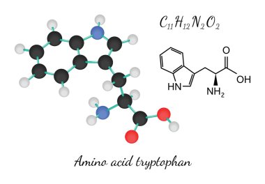 C11h12n2o2 amino asit tryptopha molekül