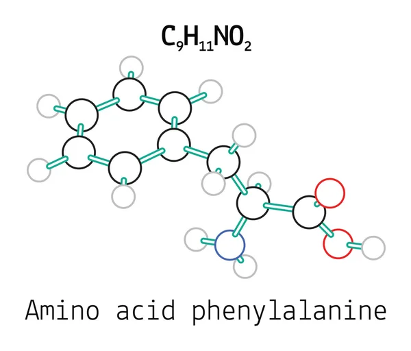 C9H11NO2 аминокислота Фенилаланин молекула — стоковый вектор