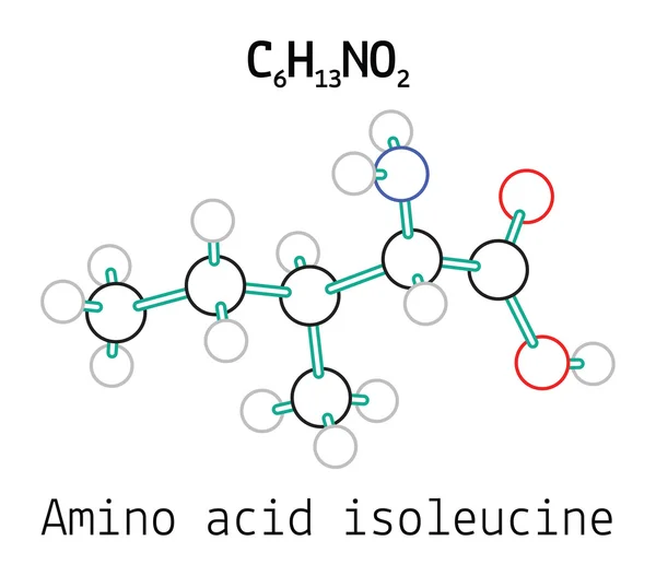 C6H13NO2 aminoácido Molécula de isoleucina — Vector de stock