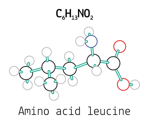 C6h13no2 aminosyra leucin molekyl — Stock vektor