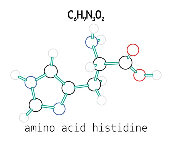 C6H9N3O2 histidina molécula de aminoácidos — Vector de stock