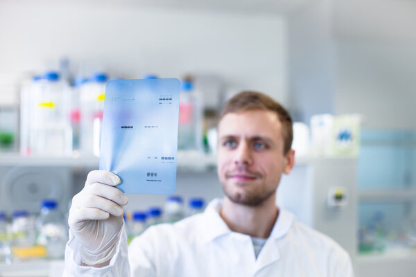 Молодой ученый проверяет свой результат Вестерн-блот
 