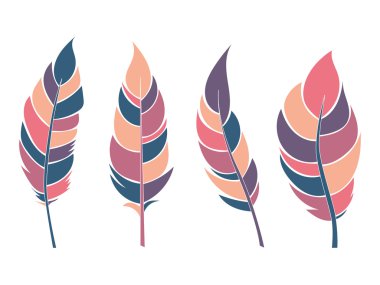 Renkli düz tüyler seti