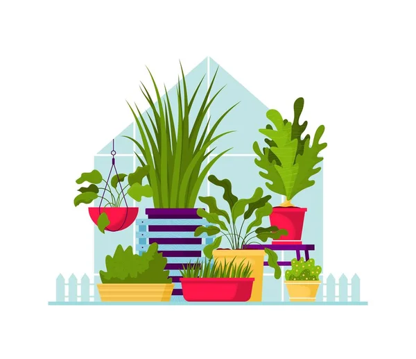 Plantas de interior ilustración a color plano. Flores exóticas con tallos y hojas verdes. Composición de diseño botánico aislado — Vector de stock