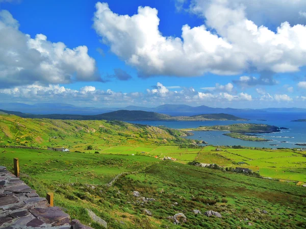 Beyaz atı ile İrlanda gezinti