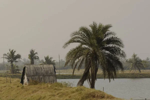 Krajobraz Indiańskiej Wioski Zachodni Bengal Indie — Zdjęcie stockowe