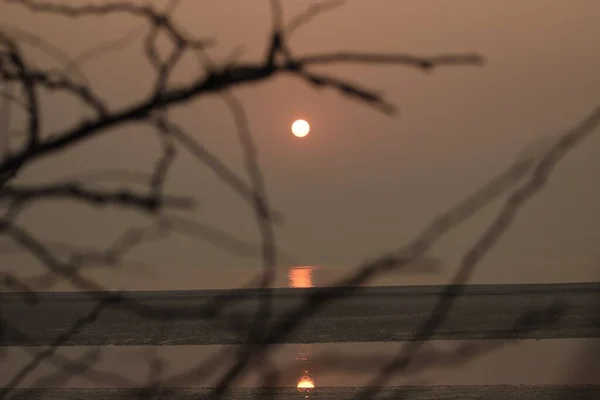 印度西孟加拉邦亨利岛海滩的日出 从干枯的树枝后面升起 — 图库照片