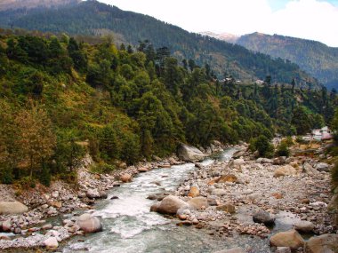 Nehir kolları ve nehir kolları Manali 'deki tepe arazisinden geliyor.