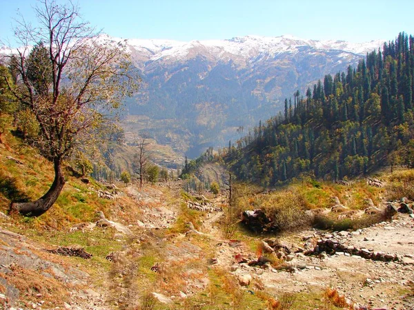 Sentiers Randonnée Dans Vallée Solang Himachal Pradesh Inde — Photo
