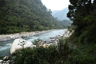 Nehir bhagirathi yoğun bitki yatakları ve tepe arazisinde akıyor uttarkashi, uttarakhand, Hindistan