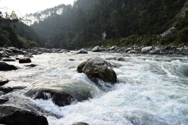 Bhagirathi nehrinin akıntıları, nehir yatağındaki kayaların arasından hızla akan sular, uttarkashi, uttarakhand, Hindistan ormanlarıyla çevrili.