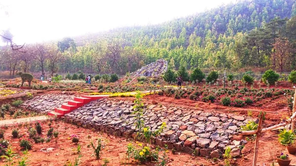 Daringbari Kelebek Parkı Hindistan Odisha Eteğinde Güzel Bir Doğa Parkı — Stok fotoğraf