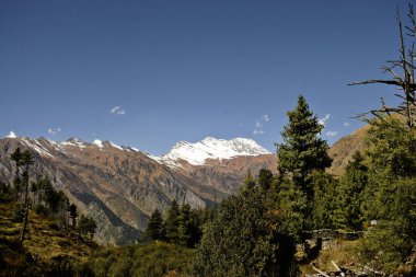 Harsil Valley, uttarakhand, Hindistan 'dan Hymalayan manzara manzarası