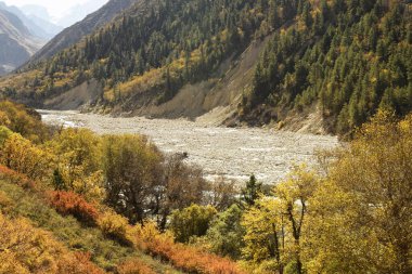 Gangotri Ulusal Parkı, uttarakhand, Hindistan 'ın vahşi doğasında akan Bhagirathi Nehri.