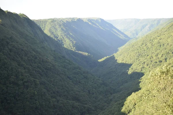 Verdure Dans Belle Vallée Sohra Meghalaya Inde — Photo