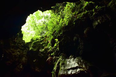 Çatıdan gelen ışık Mawsmai mağarası, sohra, meghalaya, Hindistan 'da açılıyor.