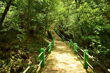 Doğayla çevrili, Mawsmai mağarasına manzaralı bir yol, sohra, meghalaya, Hindistan