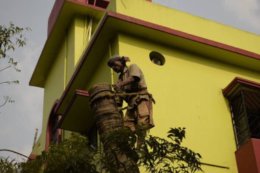 Kolkata, Batı Bengal, Hindistan - 7 Şubat 2021: Yerel oduncu geleneksel bir şekilde hindistan cevizi ağacını elektrikli testereyle kesiyor.